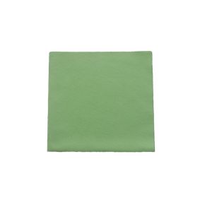 LAVETTE EVOLON 130 microfibre verte 40x42CM 130 g par m² sachet de 5