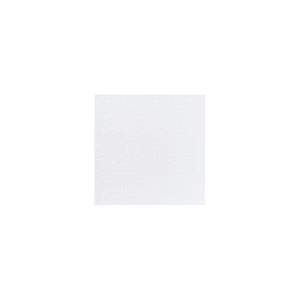 SERVIETTE DUNILIN blanche 40x40CM 45 x 12 paquets