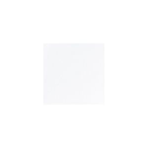 SERVIETTE DUNILIN blanche 48x48CM 36 x 6 paquets