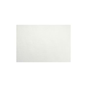 SERVIETTE DUNILIN MAX blanche 40x6CM 45 x 5 paquets