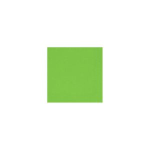 SERVIETTE OUATE kiwi 2 plis 24x24CM 300 x 8 paquets
