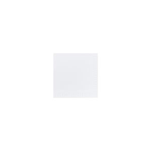 SERVIETTE OUATE blanche 33x33CM 2 plis 300 X 10 paquets