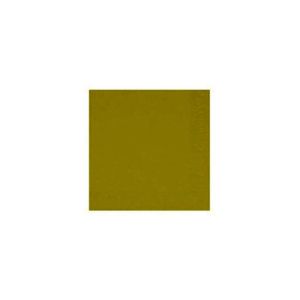 SERVIETTE OUATE kiwi 2 plis 33x33CM 125 x 16 paquets
