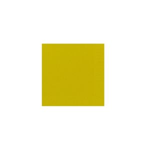 SERVIETTE OUATE kiwi 2 plis 40x40CM 125 x 10 paquets