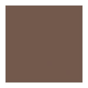 SERVIETTE OUATE noisette 2 plis 40x40CM 125 x 10 paquets