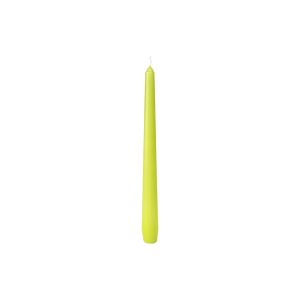 BOUGIE ANTIQUE baignée kiwi 245X22MM 7,5 heures 50 x 2 paquets
