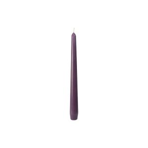 BOUGIE ANTIQUE PLUM baignée 245x22MM 7,5 heures 2 x50 paquets