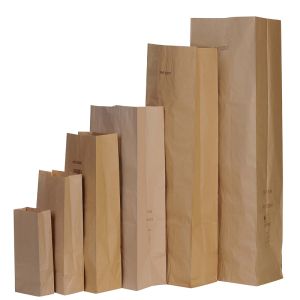 SAC PAPIER 1 FEUILLES kraft écru 30L sans impression x100