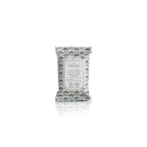SAVON d'accueil 20g en flow-pack x300