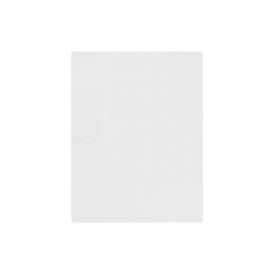 SERVIETTE OUATE blanche 2 plis 30x39CM 100 x 24 paquets