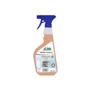 APESIN MULTISPRAY nettoyant désinfectant prêt à l'emploi 0,75L x10
