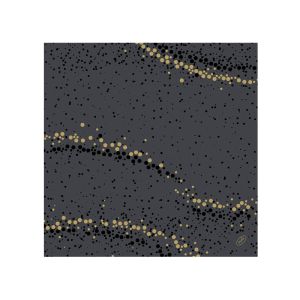 SERVIETTE DUNISOFT golden stardust noir 40x40CM 60 x6 soit 360 serviettes