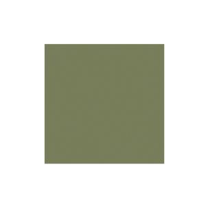 SERVIETTE DUNISOFT pistache 40x40CM 60 x6 paquets soit 360