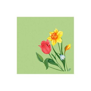 SERVIETTE BIO-DUNISOFT Spring Mélody 40x40CM 60 x 6 paquets soit 360