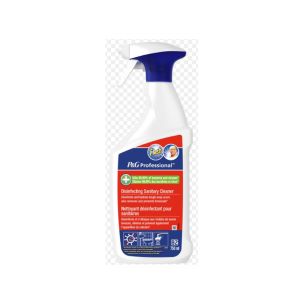 NETTOYANT DETARTRANT DESINFECTANT B2 spray 750 ml x10