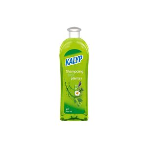 SHAMPOING AUX PLANTES KALYP 1L x12