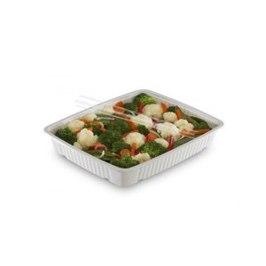 BARQUETTE GASTROPACK blanche préparation chaude GN4H55 26,5x16,2x5,5CM x384