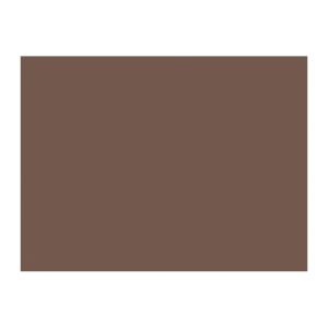 SET DE TABLE PAPIER noisette 30x40CM 60GR 250 x 4 paquets