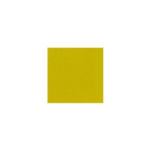 SERVIETTE OUATE kiwi 40x40CM 4 plis 50 x 6 paquets
