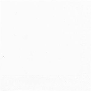 SERVIETTE OUATE blanche 33x33CM 3 plis 50 x 10 paquets