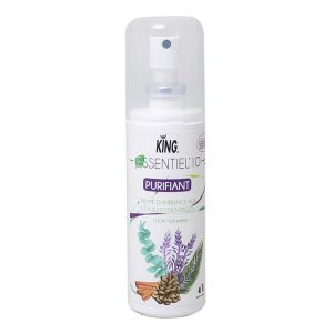 BRUME ESSENTIEL'10 purifiant aux huiles essentiels flacon pompe 0,1L x12