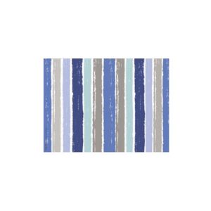 SET DE TABLE DECOR PAPIER cabanon 30x40CM barquette x 500