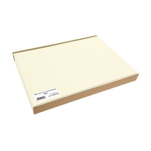 SET DE TABLE NON TISSE SPUNBOND ivoire 30x40 barquette x 100