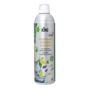 DESODORISANT GINGEMBRE aérosol ecocert 0,4L x12