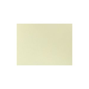 SET DE TABLE CELISOFT ivoire 30x40CM 200 x 5 barquettes