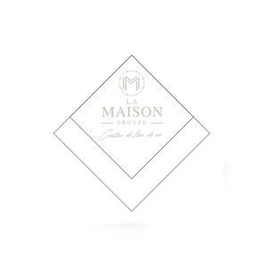 SERVIETTE OUATE imprimée LA MAISON 24x24CM 2 plis x 3000 serviettes